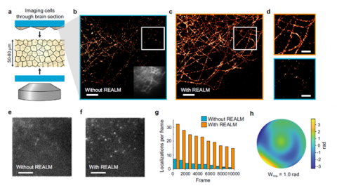 REALM, Aberration Correction For PALM/STORM Microscopy - Webinar ...